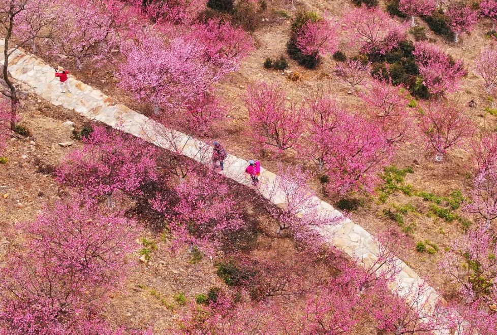 汽车报废补贴政策“雪中送炭”